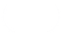 Beloit International Film Festival