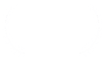 Dallas International Film Festival